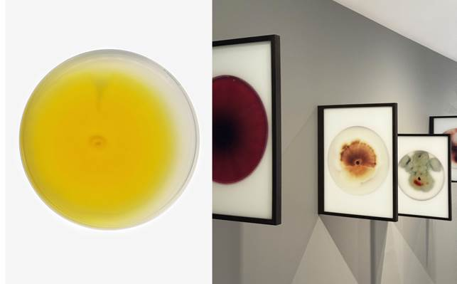 Une image contenant peinture, art
Le contenu généré par l’IA peut être incorrect.